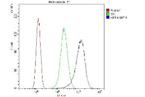 Flow Cytometry analysis of SiHa cells using anti-AMFR antibody (ABIN4886455). (AMFR Antikörper  (AA 553-643))