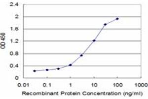 Detection limit for recombinant GST tagged FAS is approximately 0. (FAS Antikörper  (AA 20-119))