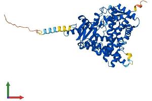 Protein Structure (PS) image for Cytochrome P450, Family 19, Subfamily A, Polypeptide 1 (CYP19A1) (AA 1-503) protein (His tag) (ABIN7546787)