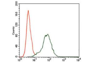 Flow Cytometry (FACS) image for anti-Insulin-Like Growth Factor 2 (IGF2) (AA 25-180) antibody (ABIN1846026) (IGF2 Antikörper  (AA 25-180))
