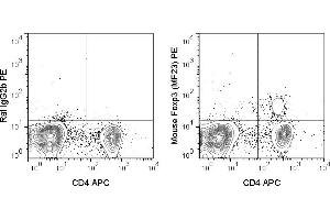 C57Bl/6 splenocytes were stained with APC Anti-Mouse CD4 (ABIN6961501), followed by intracellular staining with 0. (FOXP3 Antikörper  (PE))