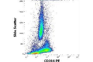 Flow cytometry surface staining pattern of human peripheral whole blood stained using anti-human CD316 (8A12) PE antibody (10 μL reagent / 100 μL of peripheral whole blood). (IGSF8 Antikörper  (PE))
