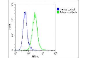 Overlay histogram showing A549 cells stained with (green line). (F13A1 Antikörper  (AA 60-94))