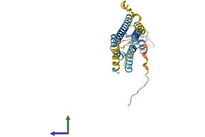 AlphaFold protein structure predicition of Mouse Recombinant Gjb5 Protein, UniprotID Q02739