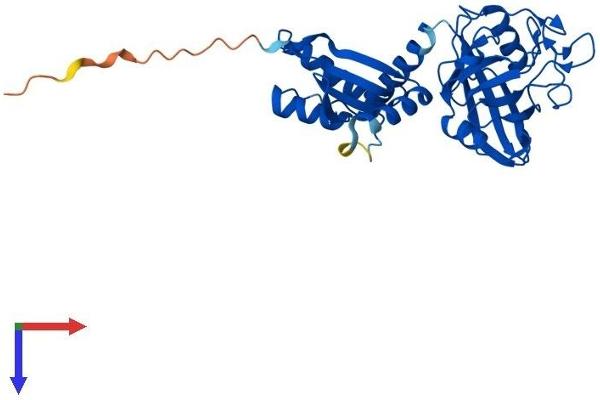 PPIL6 Protein (AA 1-311) (His tag)