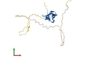 Protein Structure (PS) image for RNA Binding Motif Protein 24 (RBM24) (AA 1-236) protein (His tag) (ABIN7551238)