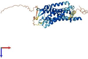 Prokineticin Receptor 1 Protein (PROKR1) (AA 1-393) (His tag)