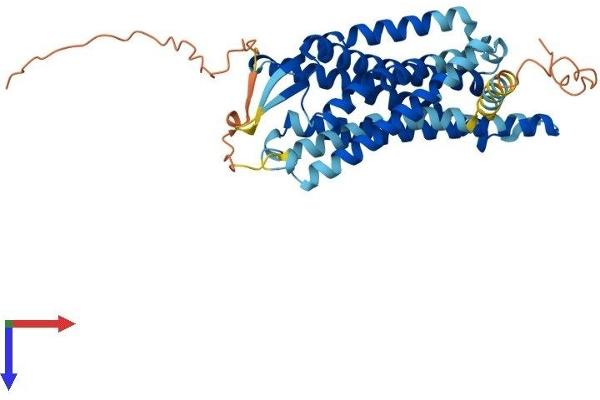 Prokineticin Receptor 1 Protein (PROKR1) (AA 1-393) (His tag)