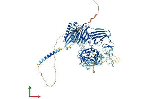 Protein Structure (PS) image for Transmembrane Protease, Serine 7 (TMPRSS7) (AA 1-843) protein (His tag) (ABIN7555786)