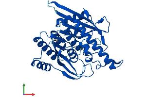 Protein Structure (PS) image for Pyridoxal Kinase (PDXK) (AA 1-312) protein (His tag) (ABIN7550609)