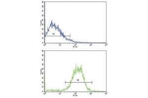 Flow Cytometry (FACS) image for anti-Cadherin 1, Type 1, E-Cadherin (Epithelial) (CDH1) (AA 160-189) antibody (ABIN3030243)