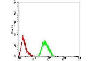 Flow Cytometry (FACS) image for anti-Complement Factor H-Related 5 (CFHR5) (AA 344-569) antibody (ABIN5542640)