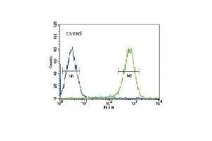 Flow Cytometry (FACS) image for anti-Dihydrolipoyl Transacetylase (DLAT) (AA 579-607), (C-Term) antibody (ABIN651534)