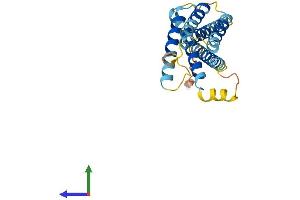 Protein Structure (PS) image for Insulin Induced Gene 2 (INSIG2) (AA 1-225) protein (His tag) (ABIN7560036)
