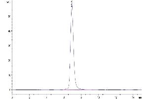 The purity of Human TIGIT is greater than 95 % as determined by SEC-HPLC. (TIGIT Protein (AA 22-141) (Fc Tag))
