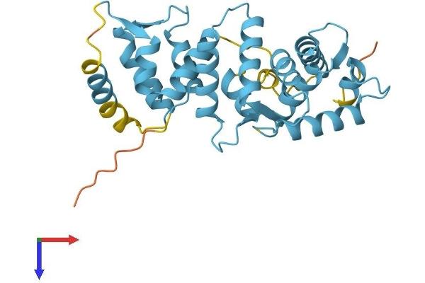 SCGN Protein (AA 1-276) (His tag)