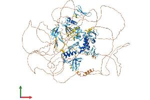 AlphaFold protein structure predicition of Human Recombinant NEDD4 Protein, UniprotID P46934
