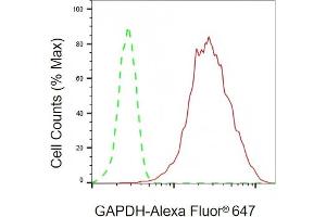 Flow cytometric analysis of GAPDH expression in HepG2 cells using GAPDH antibody (ABIN7798768), 1:2,000). (Rekombinanter GAPDH Antikörper)