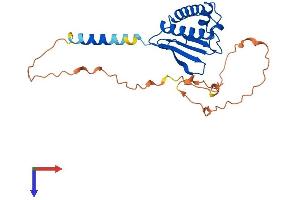BTG3 Protein (AA 1-252) (His tag)