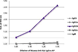 ELISA plate was coated with purified rat IgG1, IgG2a, IgG2b, IgG2c, and IgM. (Maus anti-Ratte IgG2b Antikörper (Alkaline Phosphatase (AP)))