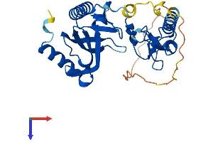 PLEKHF1 Protein (AA 1-279) (His tag)