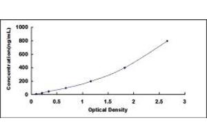 Image no. 1 for Apolipoprotein A-IV (APOA4) ELISA Kit (ABIN1874342)