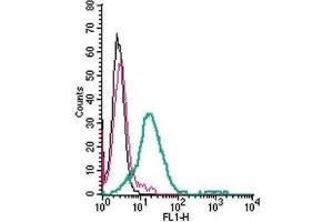 Cell surface detection GPR120/FFAR4 in live intact mouse BV-2 microglia cells: (black line) Cells. (O3FAR1 Antikörper  (Extracellular) (FITC))