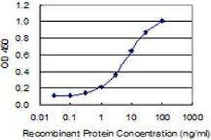 Detection limit for recombinant GST tagged DGKK is 0. (DGKK Antikörper  (AA 1171-1271))