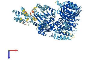 Protein Structure (PS) image for NLR Family, Pyrin Domain Containing 4E (NLRP4E) (AA 1-978) protein (His tag) (ABIN7564000)