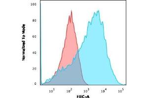 Flow Cytometric Analysis of HEK293 cells using Neurofilament Rabbit Recombinant Monoclonal Ab (NEFL. (Rekombinanter NEFH Antikörper)