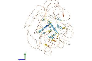 Protein Structure (PS) image for Nuclear Receptor Interacting Protein 1 (NRIP1) (AA 1-1158) protein (His tag) (ABIN7554788)