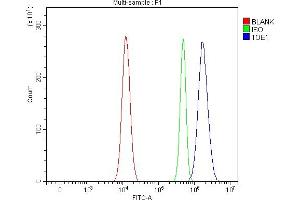 Flow Cytometry analysis of Ramos cells using anti-TOE1 antibody (ABIN7601080). (TOE1 Antikörper  (AA 28-501))