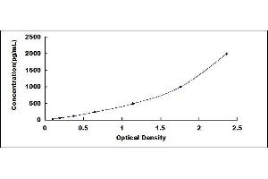 Typical standard curve (ILK ELISA Kit)