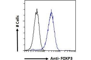 ABIN185239 Flow cytometric analysis of paraformaldehyde fixed NIH3T3 cells (blue line), permeabilized with 0. (FOXP3 Antikörper  (C-Term))