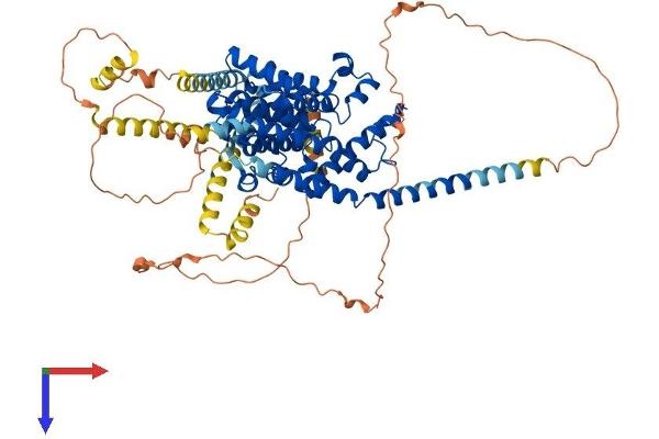 PDE1C Protein (AA 1-709) (His tag)