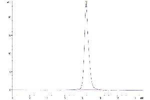 The purity of Mouse IL-1R2 is greater than 95 % as determined by SEC-HPLC.