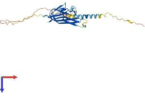 TWEAK Protein (AA 1-249) (His tag)