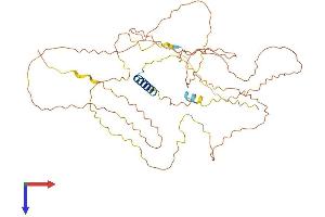 GPRIN2 Protein (AA 1-458) (His tag)