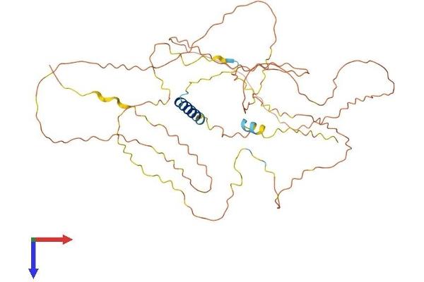 GPRIN2 Protein (AA 1-458) (His tag)