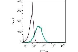 Cell surface detection of mGluR3  by indirect flow cytometry in live intact mouse J774 macrophage cell line: + goat-anti-rabbit-FITC. (Metabotropic Glutamate Receptor 3 Antikörper  (Extracellular))