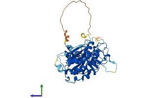 Protein Structure (PS) image for Cyclin-Dependent Kinase 9 (CDK9) (AA 1-372) protein (His tag) (ABIN7553403)