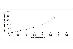 Typical standard curve (ICAM1 ELISA Kit)