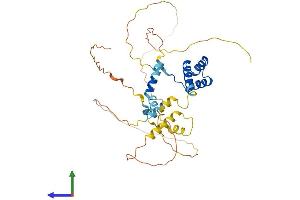 Protein Structure (PS) image for Visual System Homeobox 2 (VSX2) (AA 1-361) protein (His tag) (ABIN7545139)