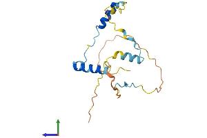 Protein Structure (PS) image for Male Enhanced Antigen 1 (MEA1) (AA 1-174) protein (His tag) (ABIN7557827)