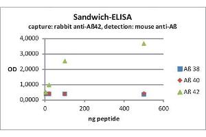 ELISA image for anti-Amyloid beta 1-42 (Abeta 1-42) (AA 37-42) antibody (ABIN1742444)