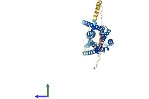 HRH2 Protein (AA 1-359) (His tag)