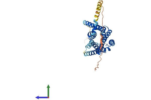 HRH2 Protein (AA 1-359) (His tag)
