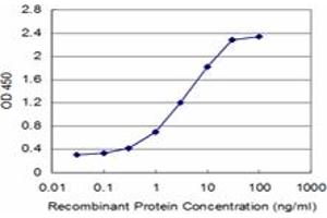 Detection limit for recombinant GST tagged ZFYVE16 is approximately 0. (ZFYVE16 Antikörper  (AA 1-100))