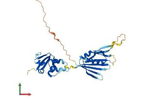 Protein Structure (PS) image for Potassium Channel Regulator (KCNRG) (AA 1-272) protein (His tag) (ABIN7548690)