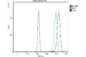 Flow Cytometry analysis of U20S cells using anti-Vitamin D Receptor/VDR antibody (ABIN7602940).